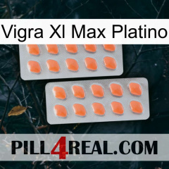 Vigra Xl Max Platinum 27